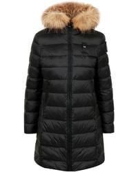 Blauer - Blauwe Jassen - Lyst