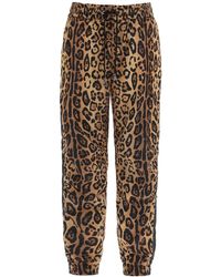 Dolce & Gabbana - Leopard Print Nylon Joggerhose für - Lyst