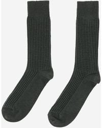 ANT45 - Ribbed Cotton Socks With Logo - Lyst