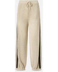 Pinko - Pinko Grey - Lyst