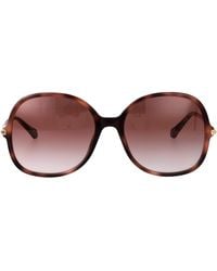 Chloé - Havana-Havana- Acetate Sunglasses - Lyst
