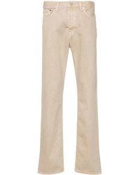 sunflower - Wide Twist - Lyst