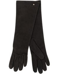 Max Mara - Afideesuede lange Wildleder-Nappa-Handschuhe - Lyst