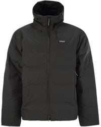 Patagonia - Jackson Glacier - Lyst