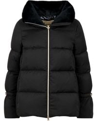 Herno - Jassen Zwart - Lyst