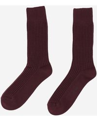ANT45 - Ribbed Cotton Socks With Logo - Lyst
