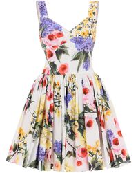 Dolce & Gabbana - Rose Garden Mini Dress - Lyst