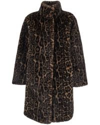 Apparis - Brown Fur Coat With All-over Leopard Print In Faux Fur Woman - Lyst