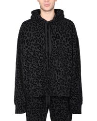 Dolce & Gabbana - Sweatshirt With Leopard Print - Lyst