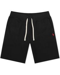 polo jogging shorts