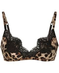 Dolce & Gabbana - Leopard-Print Soft-Cup Satin Bra With Lace Detailing - Lyst
