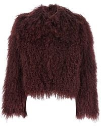 Plain - Tibet Fur Short Jacket - Lyst