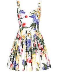 Dolce & Gabbana - Garden Print Dress - Lyst
