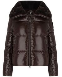 Save The Duck - Moma Brown Cropped Padded Jacket - Lyst