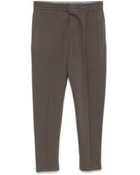 EA7 - Cotton Sweatpants - Lyst