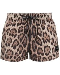Dolce & Gabbana - Leopard-print Swim Shorts - Lyst