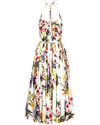 Dolce & Gabbana - Printed Cotton Midi Dress - Lyst