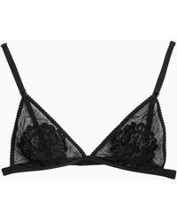 Dolce & Gabbana - Dolce&Gabbana Tulle Triangle Bra With Lace Details - Lyst