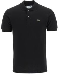 shirt lacoste sale