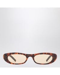 Saint Laurent - Sl 557 Shade Havana Sunglasses - Lyst