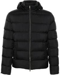 Herno - Quilted Polyester Outerwear Jacket - Lyst