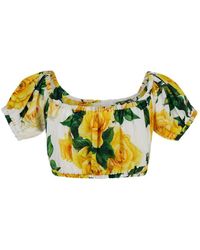 Dolce & Gabbana - Cotton Cropped Top With Roses Print - Lyst