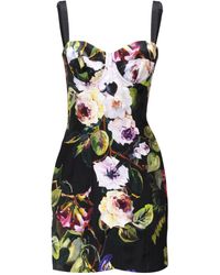 Dolce & Gabbana - Mini Bustier Dress With Rose Garden Print - Lyst