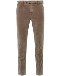 PT Torino Dove Grey Cotton And Elastane Trousers - Green