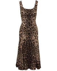 Dolce & Gabbana - Mini Brown Dress With All-over Leo Print In Stretch Viscose Woman - Lyst