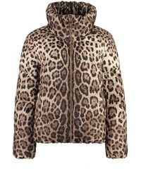 Dolce & Gabbana - Leopard Print Short Down Jacket - Lyst