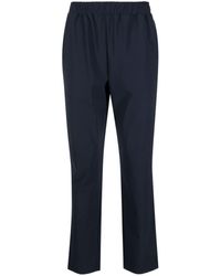 Save The Duck - Track Pants - Lyst