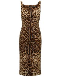 Dolce & Gabbana - Animalier Dress - Lyst