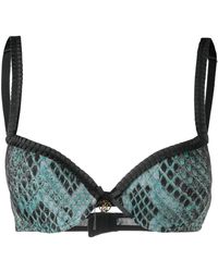 Just Cavalli Lingerie for Women | Online Sale up to 72% off |