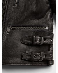 Banana Republic Factory Pique Moto 