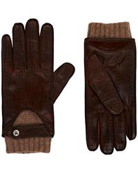 christophe fenwick gloves