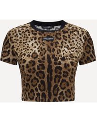 Dolce & Gabbana - Dolce & Gabbana Leopard-Print Cropped T-Shirt - Lyst