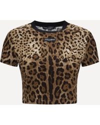Dolce & Gabbana - Dolce & Gabbana Leopard-Print Cropped T-Shirt - Lyst
