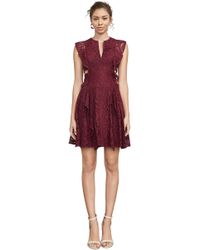 bcbg luann floral lace dress