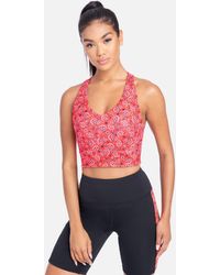 Bebe Bras For Women Up To 29 Off At Lyst Com