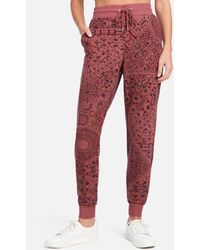 Bebe Track pants and sweatpants for Women | Online Sale up to 70% off | Lyst