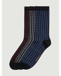 Ben Sherman - 3 Pack Mod Stripe Sock Gift In Assorted - Lyst