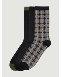 Ben Sherman - 3 Pack Mod Stripe Sock In Khaki - Lyst