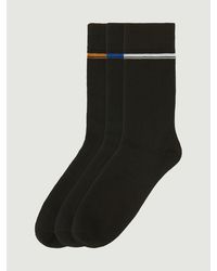 Ben Sherman - 3 Pack Mod Stripe Sock In Black - Lyst
