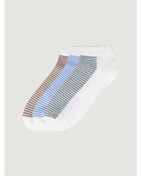 Ben Sherman - 3 Pack Striped Trainer Socks In Assorted - Lyst