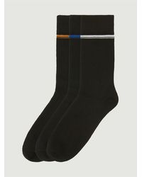 Ben Sherman - 3 Pack Mod Stripe Sock In Black - Lyst