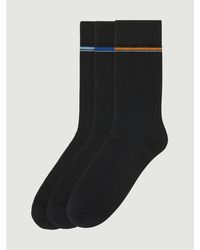 Ben Sherman - 3 Pack Mod Stripe Sock In - Lyst