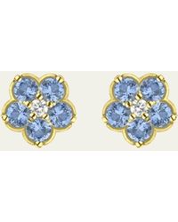 Paul Morelli - 18k Gold Wild Child Blue Sapphire Earrings - Lyst