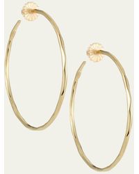 Ippolita - Large Squiggle Hoop Earrings In 18k Gold - Lyst