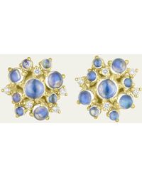 Paul Morelli - 18k Yellow Gold Moonstone Bubble Stud Earrings With Diamonds - Lyst