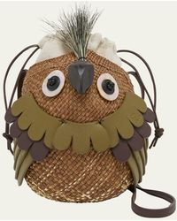 Loewe - X Paula's Ibiza Bird Bag In Iraca Palm With Leather Strap - Lyst